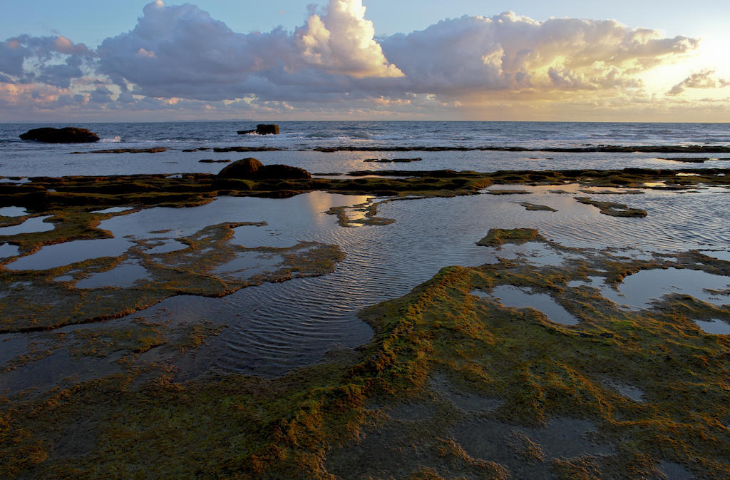Placer De Meca Zahora Zimmer foto